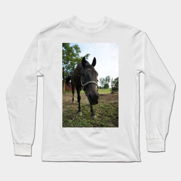 stallion Long Sleeve T-Shirt by KensLensDesigns